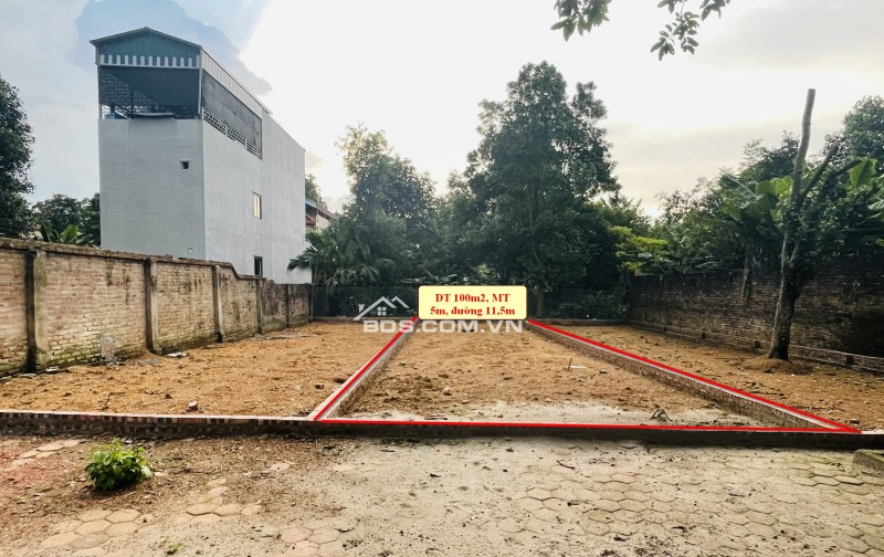 CHÍNH CHỦ CẮT LỖ 300TR BÁN NHANH 2 LÔ MẶT ĐƯỜNG PHÚ CÁT, CÁCH ĐẠI HỌC QUỐC GIA 1KM.